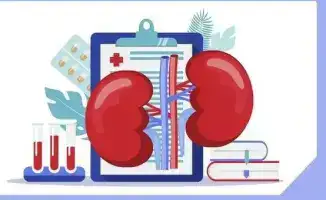 Бесплатные обследования почек в Караганде: важный шаг к профилактике заболеваний