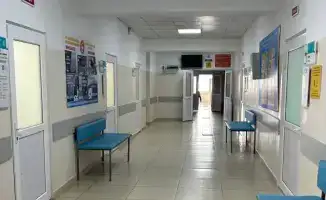 Телемедицина в Карагандинской области: 426 консультаций за четыре месяца