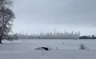 Подготовка к паводкам: как профилактические меры могут снизить риски для регионов