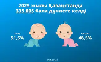 О рождаемости в 2025 году