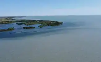 На Балхаше изучают состояние рыбных запасов