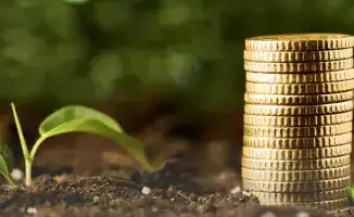 Доступ к раннему финансированию посевной кампании: более 2900 аграриев в Казахстане получили поддержку