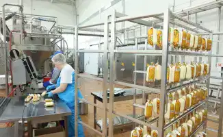 Инвестиционные проекты АПК в Костанайской области: влияние на развитие местного сельского хозяйства