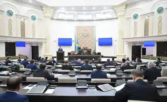 Сенат Казахстана обсудил закон о гражданской защите