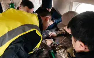 В Атырау начались исследования причин пыльных бурь и меры по восстановлению зелёного покрова