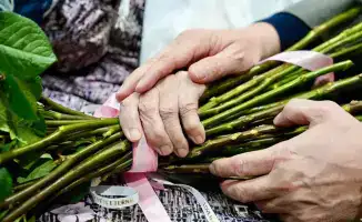 Солнечные сердца: в честь матерей и женщин, наполняющих мир теплом