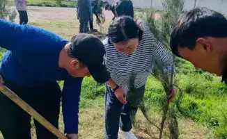 В Туркестанской области проходит акция по посадке саженцев в рамках инициативы «Мөлдір бұлақ»
