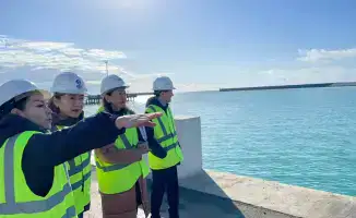 Где крепче щиты здоровья: на границе или в порту?
