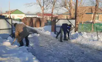 Вывоз снега из дворов в Карагандинской области из-за риска подтоплений