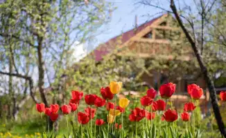 Алматы: дачные массивы станут частью населённых пунктов