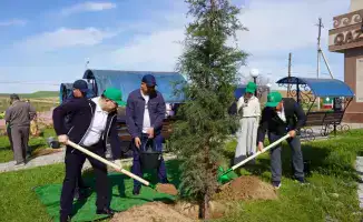 ТУРКЕСТАН: ОКОЛО ВОСЬМИ ТЫСЯЧ САЖЕНЦЕВ ВЫСАДИЛИ В КАЗЫГУРТСКОМ РАЙОНЕ В РАМКАХ ПРОЕКТА «ТАЗА ҚАЗАҚСТАН»