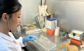 Биологически активная добавка для иммунитета и профилактики диабета на растительной основе