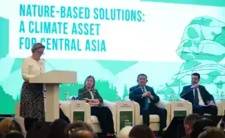 Фермеры Казахстана могут получить выгоду от углеродных единиц: итоги форума Dala Carbon Forum 2026