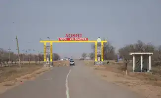 Масштабные озеленительные работы в Илийском районе: высадка более 30 тысяч деревьев