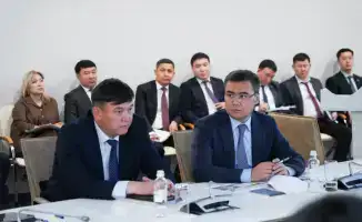 Масштабная борьба с саранчой в Туркестанской области: последствия для урожая под угрозой