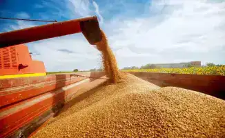 Высокий спрос на зерно от птицеводческих предприятий и цены на пшеницу