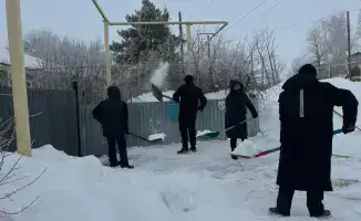 Денисовский район поддержал акцию «Снежный десант»