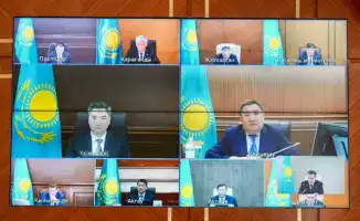 36 млн саженцев высадят в Восточном Казахстане