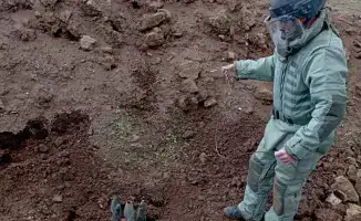 На Голанах расцвел Наурыз: миротворцы Казахстана сплетают нити дружбы