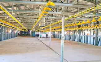 Запуск птицефабрики в Кызылординской области с мощностью 3,5 тыс тонн мяса птицы в год