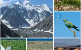 Казахстан: природа и человек в новой гармонии