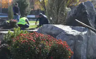 В Алматы обсуждают планы по озеленению и санитарному сносу аварийных деревьев до 2030 года