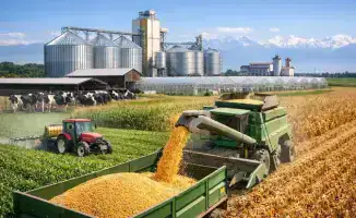 Развитие сельского хозяйства и создание рабочих мест: 7 агропроектов в Алматинской области на 44,6 млрд тенге