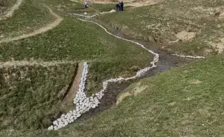 Жители Толебийского района объединились для очистки водных источников в рамках экологической акции «Мөлдір бұлақ»