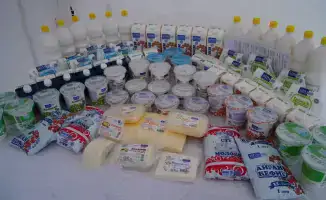 Строительство молочно-товарной фермы и завода по переработке молока в Бурабайском районе: новые инвестиции и рабочие места для региона