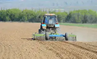 Рост сельскохозяйственного производства в Жетісу: весенние посевные работы продолжаются