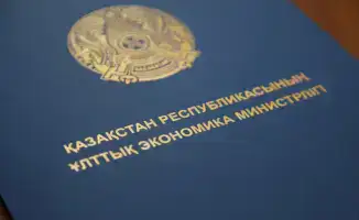 Число социальных предпринимателей в Казахстане почти удвоилось за год, достигнув 1431 предприятия