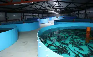 Фермерский бум: Костанайский район на пути к прорыву!