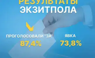 Конституция на волоске: 87,4% за изменения!
