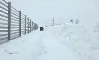 Зимняя броня: трасса «Астана – Кокшетау» обретает защиту от снежных бурь