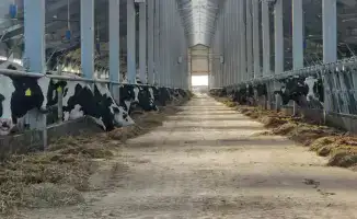 льготное кредитование животноводства 6% Казахстан