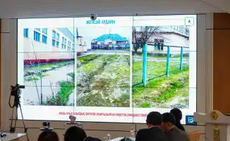 Зеленая симфония: в Туркестанской области в этом году высадят 1 миллион саженцев