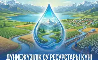 Всемирный день водных ресурсов важность рационального использования воды