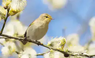 Казахстан: весенний зной до +23 градусов в марте!