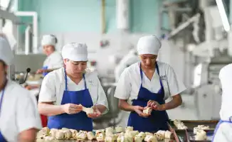 Хлеб и Конституция: работники 'Аксай' замешивают тесто для перемен на референдуме