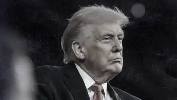 Президент США Дональд Трамп раскритиковал союзников по НАТО, назвав альянс 'бумажным тигром' и обвинив их в трусости.