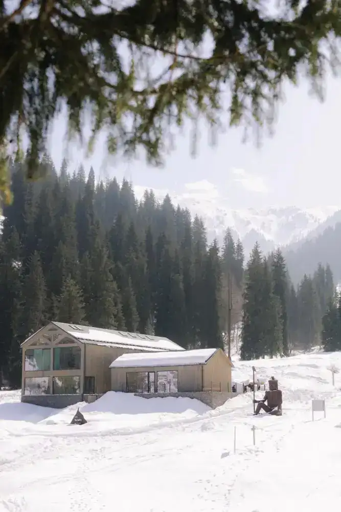 Уборка в горах Алматы: кофе за помощь природе