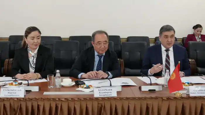 Казахстан и Кыргызстан укрепляют сотрудничество в социально-трудовой сфере и обмениваются цифровым опытом (2)