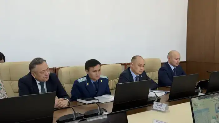 В Улытауской области обсудили привлечение инвестиций и развитие промышленности (5)