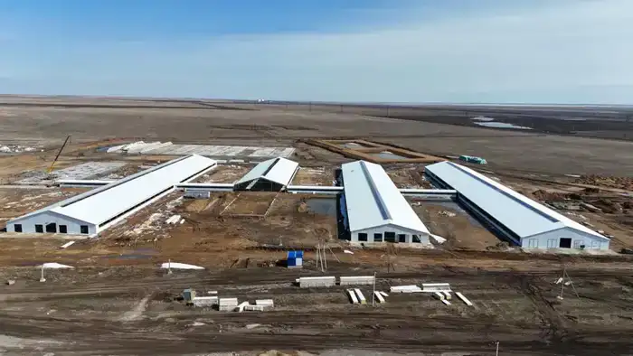 Аким Акмолинской области ознакомился с агропроектами региона (4)