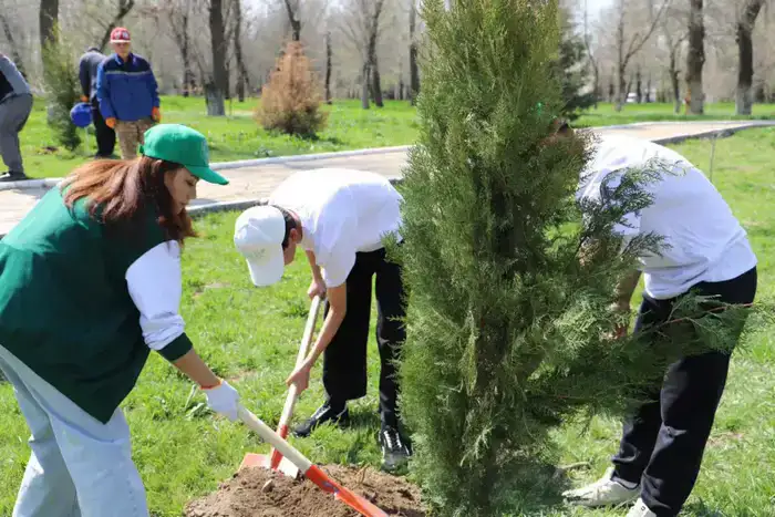 Зеленая волна: молодежь очищает Казахстан!