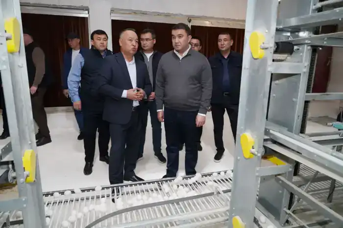 ТУРКЕСТАН: ПТИЦЕФАБРИКА В САРЫАГАШЕ ОБЕСПЕЧИВАЕТ РЕГИОН ОТЕЧЕСТВЕННОЙ ПРОДУКЦИЕЙ (3)