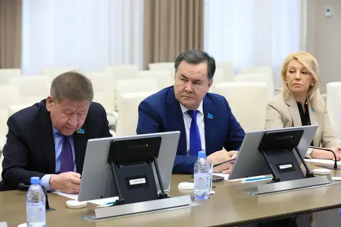 Аким региона обсудил с сенаторами развитие экономики и бюджетный потенциал (6)