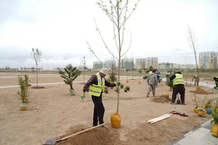 “ТАЗА ҚАЗАҚСТАН”: ТУРКЕСТАНСКОЙ “ТАЗА ҚАЛА” И “ТАЗА АУЫЛ”, ВЫВЕЗЕНО 2 ТЫСЯЧИ ТОНН МУСОРА (5)