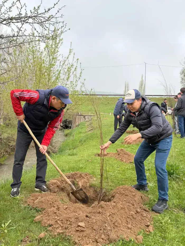 «Таза Қазақстан»: В Толебинском районе высажено около 9000 деревьев в рамках экологической инициативы