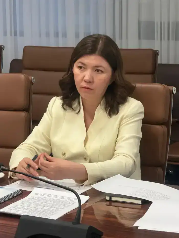 Цифровое образование в сельских школах проект Qazaq Digital Mektebi